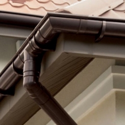 Premium Каштан