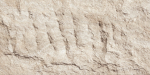 Гибкая керамика Phomi Devine Mushroom Stone Andes Yellow 1200x600х3 мм