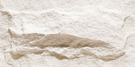 Гибкая керамика Phomi Crossard Mushroom Stone Plain White 800x400х3 мм